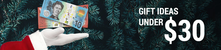 Gift Ideas under 30
