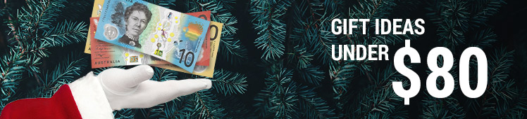 Gift Ideas under 80