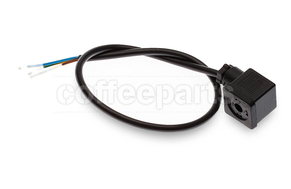 Solenoid valve plug with wire
