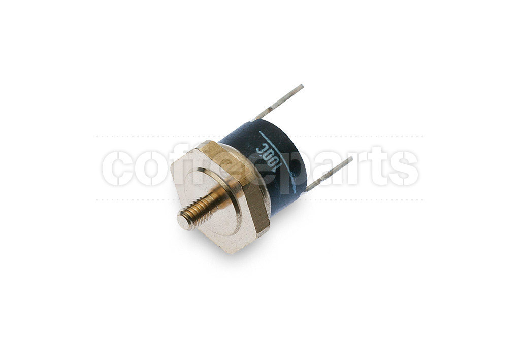 Thermostat 100 degrees celcius