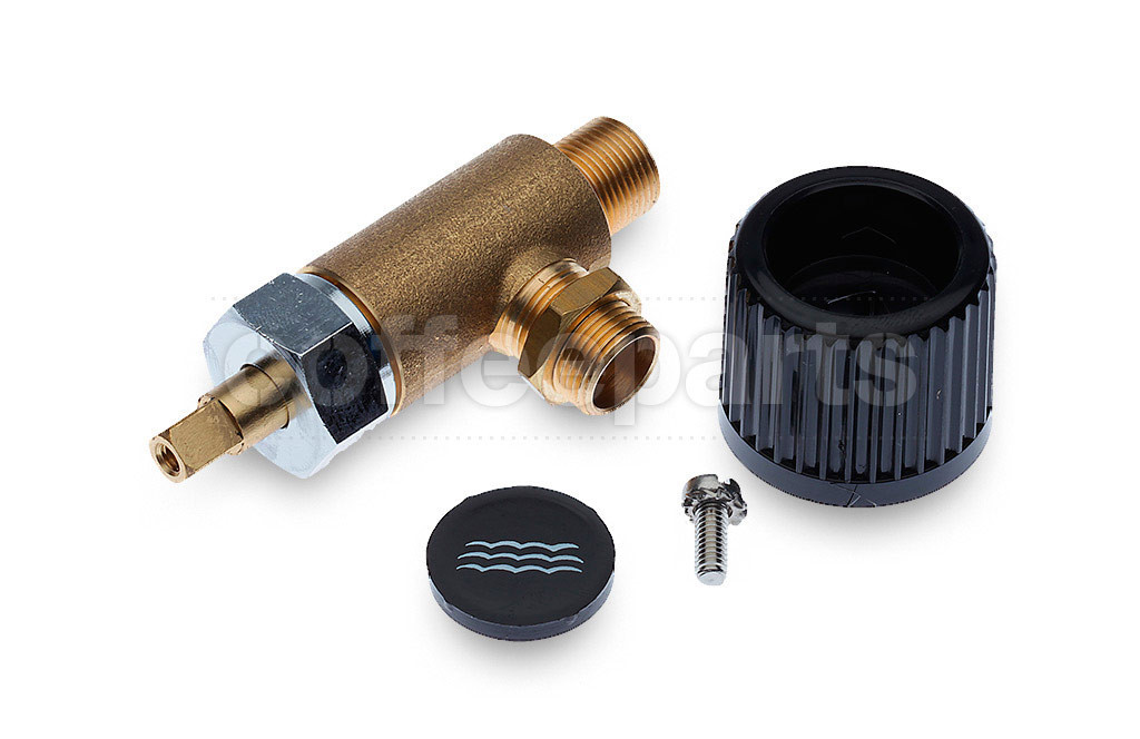 Steam valve