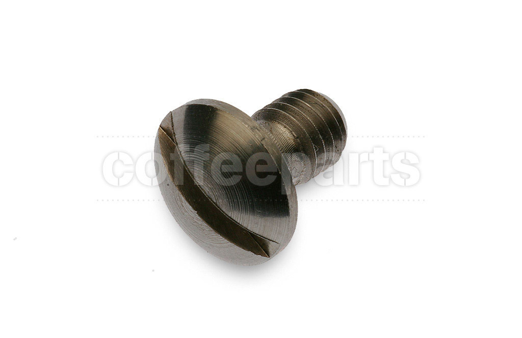 Screw