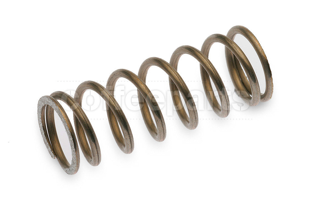 Steam valve swivel ball spring
