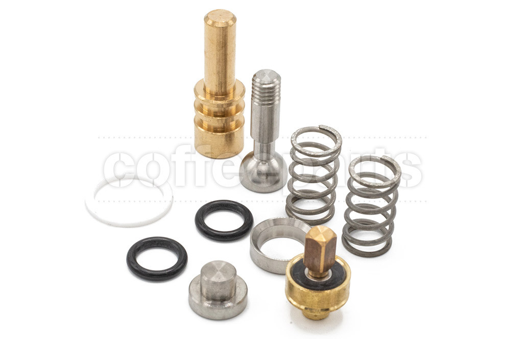 GS3 Steam Valve Rebuild/Maintenance Kit