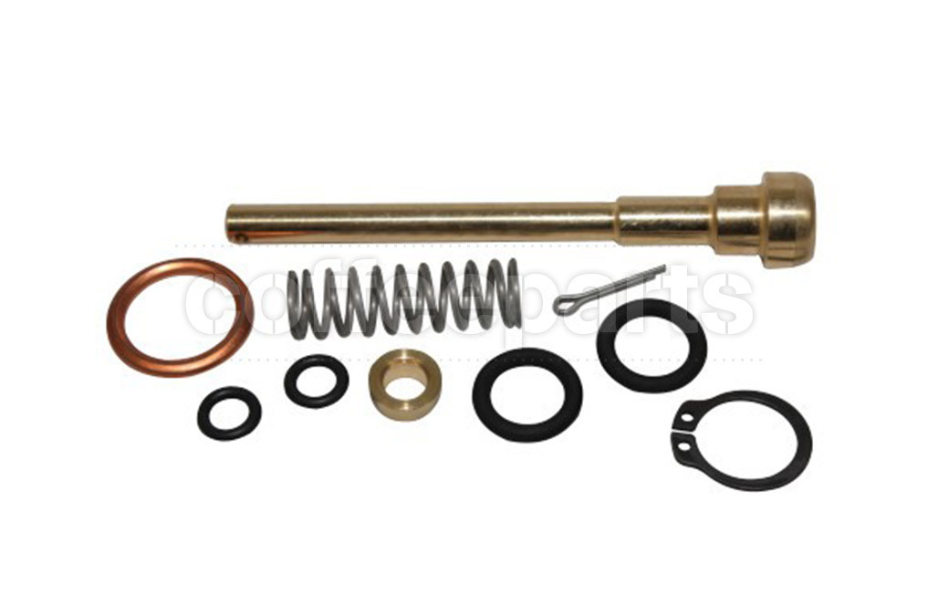 Steam Valve Rebuild/Maintenance Kit
