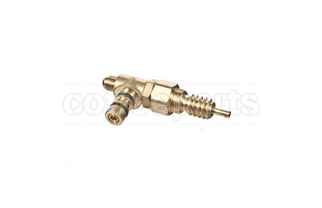 Complete Steam Valve