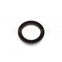 Piston v-gasket