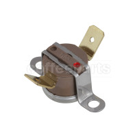 Thermostat 100 deg