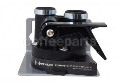 Everpure QL3B Filter Head with Shut-Off 3/8in Npt (EV925924)
