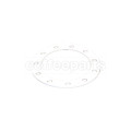 Boiler gasket