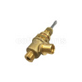 Complete steam valve