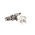 A199905198 - Microswitch