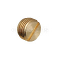 Cap for steam wand