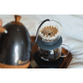 Brewista Filter Coffee Pour Over Kit