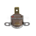 Thermostat 100 deg